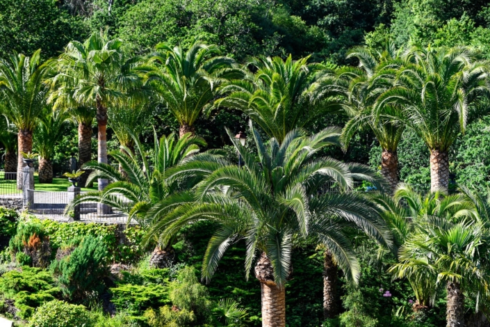 Garden and Façade Torre do Río