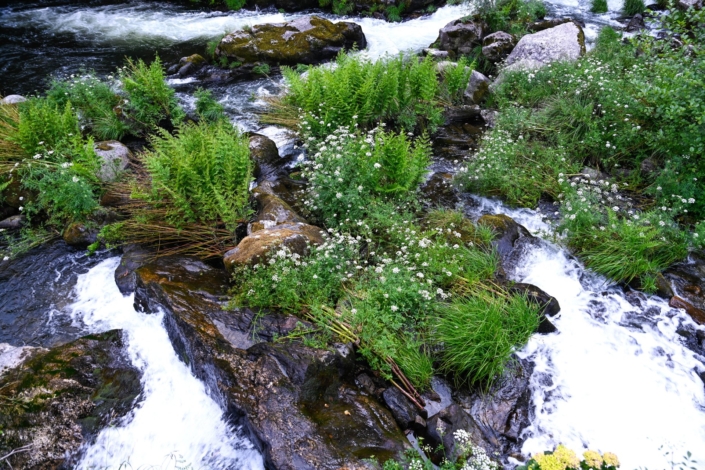 River Torre do Rio