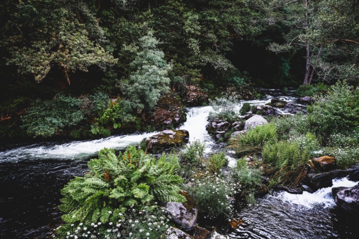 River Torre do Rio